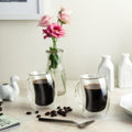 Joyjolt Caleo Insulated Coffee Tea Mugs Double Wall Glasses Set Of 2 10 Oz