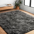 Kasen Plush Solid Shag Rug