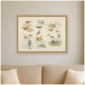 Kate And Laurel Birds Of Fowling Henry Thomas Alken By Nostalgia Prints Framed Canvas Wall Art Print