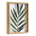 Kate And Laurel Blake Botanical 5F Framed Printed Glass By Amy Peterson