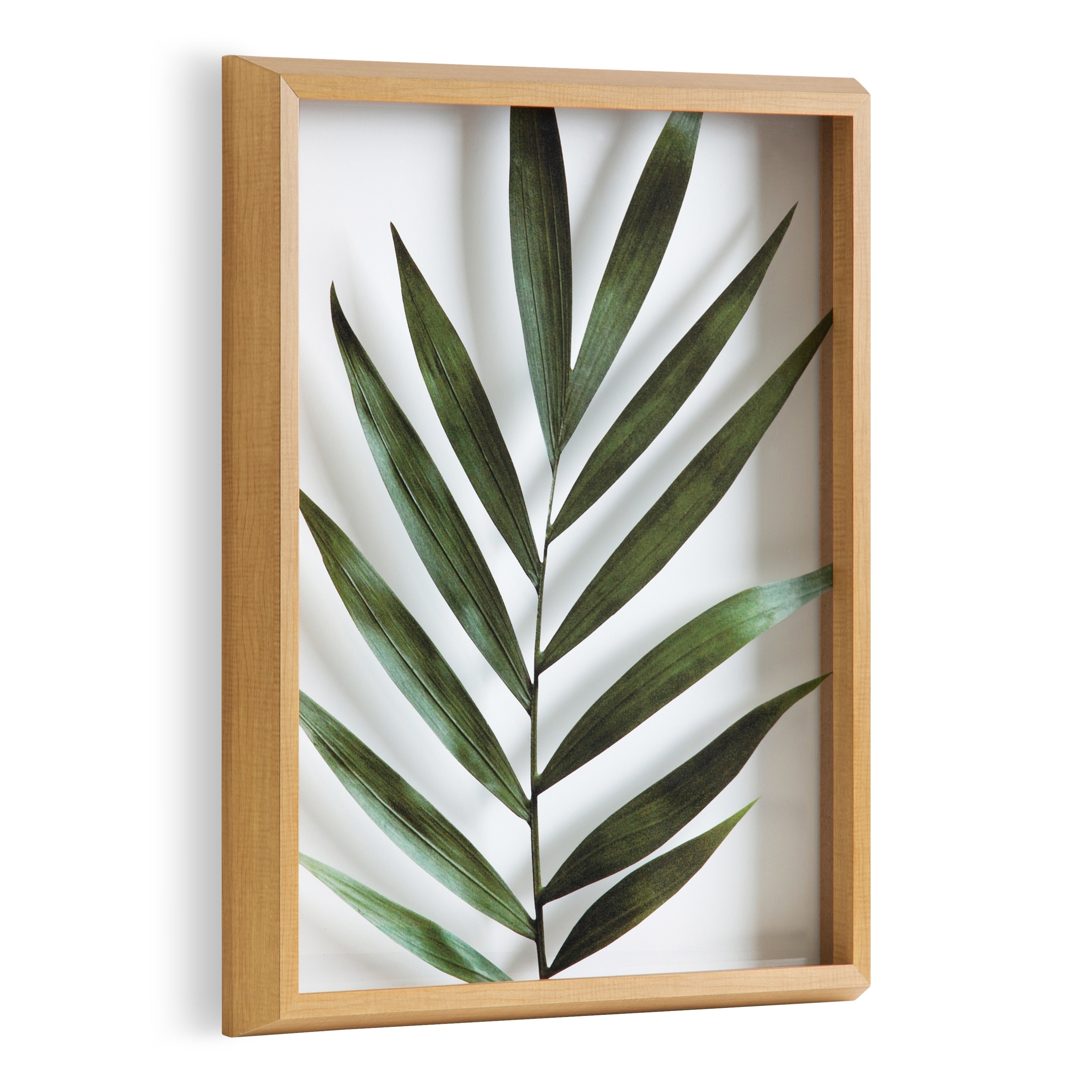 Kate And Laurel Blake Botanical 5F Framed Printed Glass By Amy Peterson
