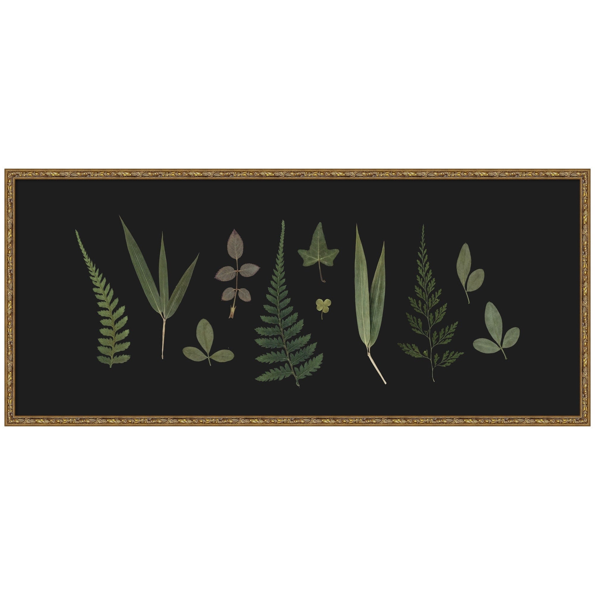 Kate And Laurel Botanical Leaf Study Panel By Stephanie Klatt Framed Wall Art Print