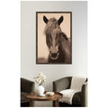 Kate And Laurel Equine Horse By Robert Cadloff Framed Wall Art Print