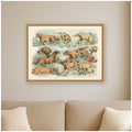Kate And Laurel Hounds Henry Thomas Alken By Nostalgia Prints Framed Canvas Wall Art Print