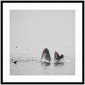 Kate And Laurel Humpback Whales No. 2 By Laura Evans Framed Wall Art Print