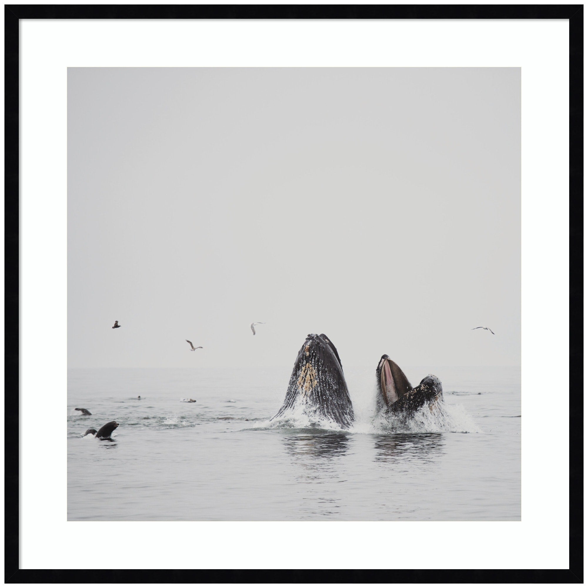 Kate And Laurel Humpback Whales No. 2 By Laura Evans Framed Wall Art Print