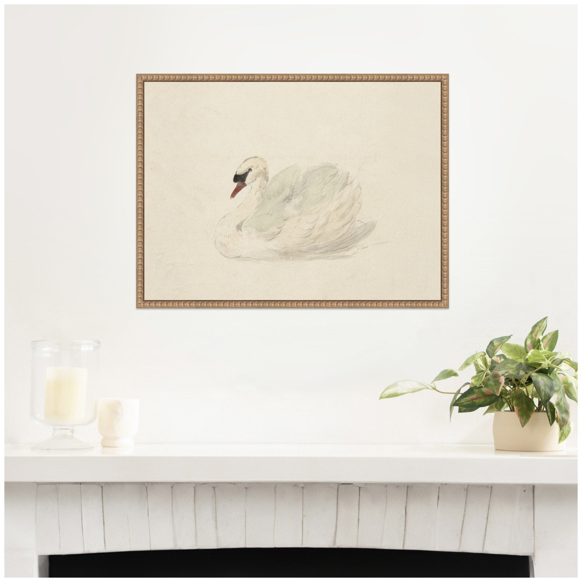 Kate And Laurel Knobbelzwaan 1792 Aert Schouman By Nostalgia Prints Framed Canvas Wall Art Print