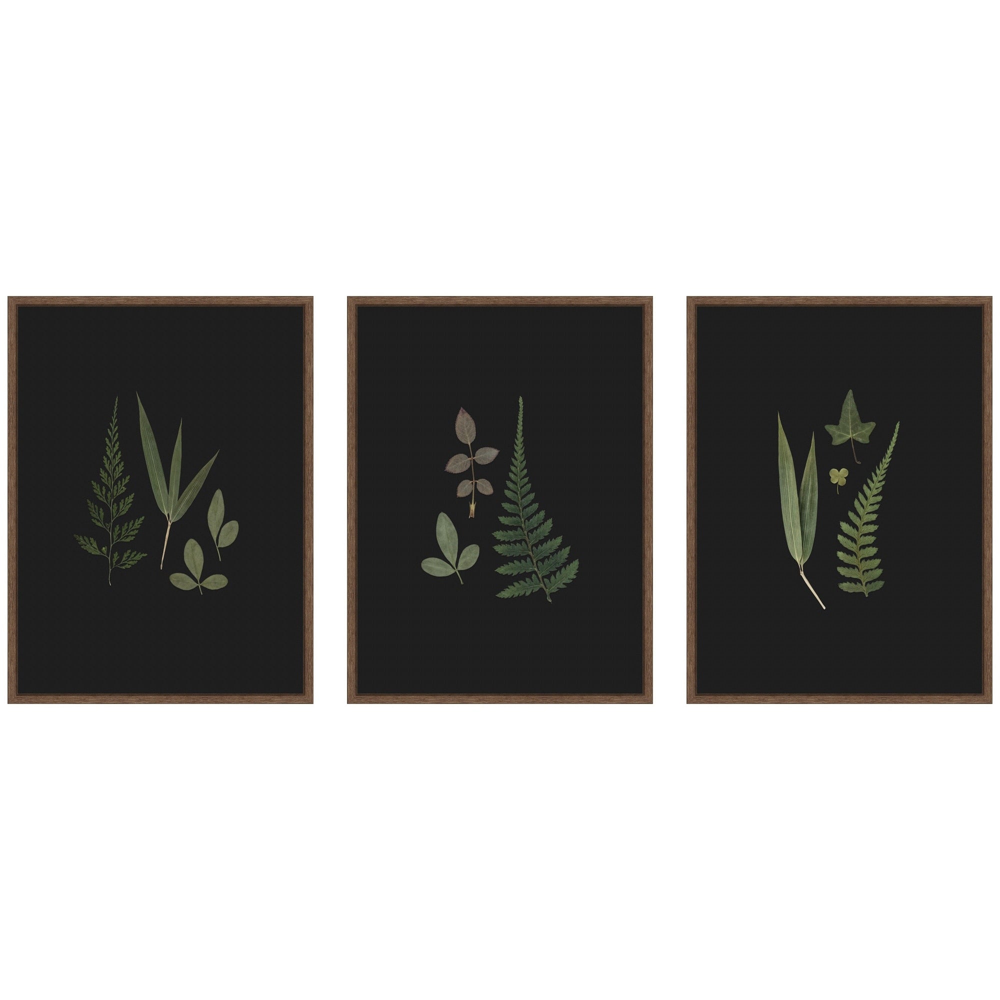 Kate And Laurel Minimalist Botanical Leaf On Black 3 Piece Framed Canvas Wall Art Set By Stephanie Klatt