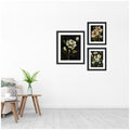 Kate And Laurel Moody Whites Floral No. 2 3 Piece Framed Wall Art Print Set By Annie Quigley