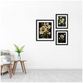 Kate And Laurel Moody Whites Floral No. 3 3 Piece Framed Wall Art Print Set By Annie Quigley