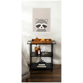 Kate And Laurel Raccoon By July Art Prints Framed Canvas Wall Art Print