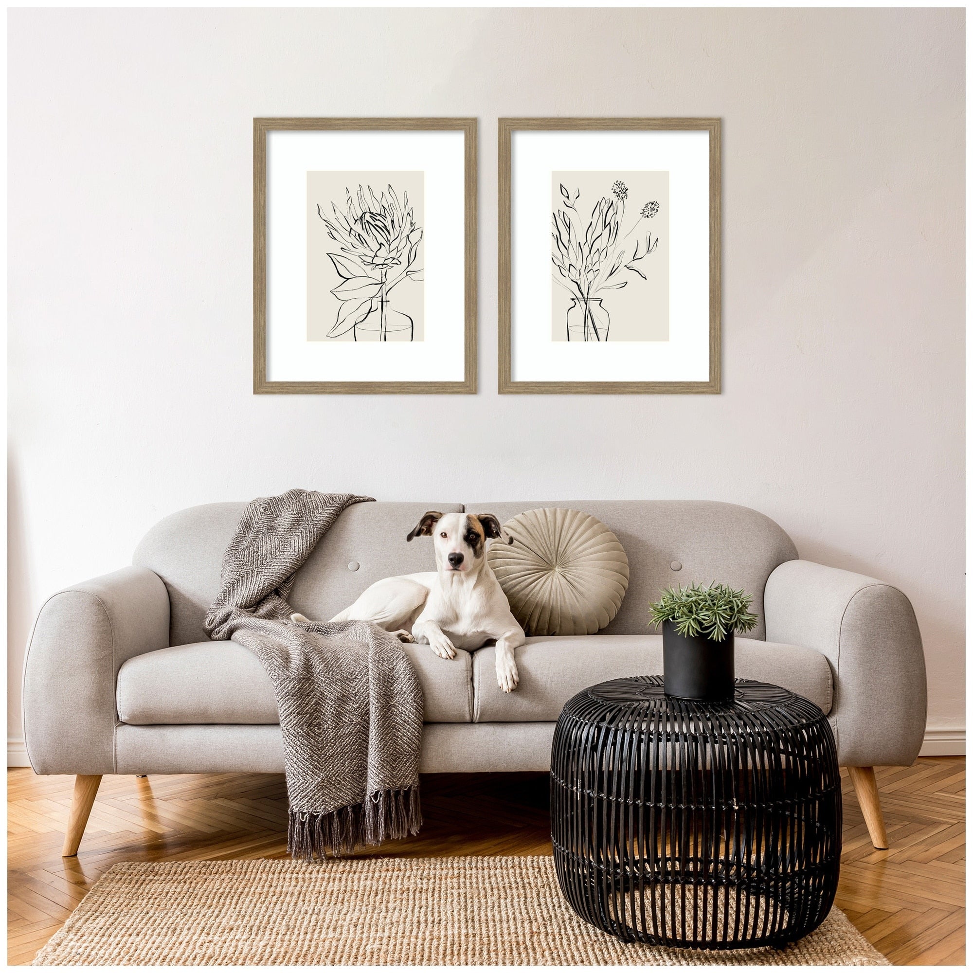 Kate And Laurel Sb Protea Sketch No. 1 No. 2 2 Piece Framed Wall Art Print Set By Sara Berrenson