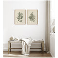 Kate And Laurel Salix Willd Willow Osyris Lanceolate African Sandalwood 2 Piece Framed Canvas Art Set By Nostalgia Prints