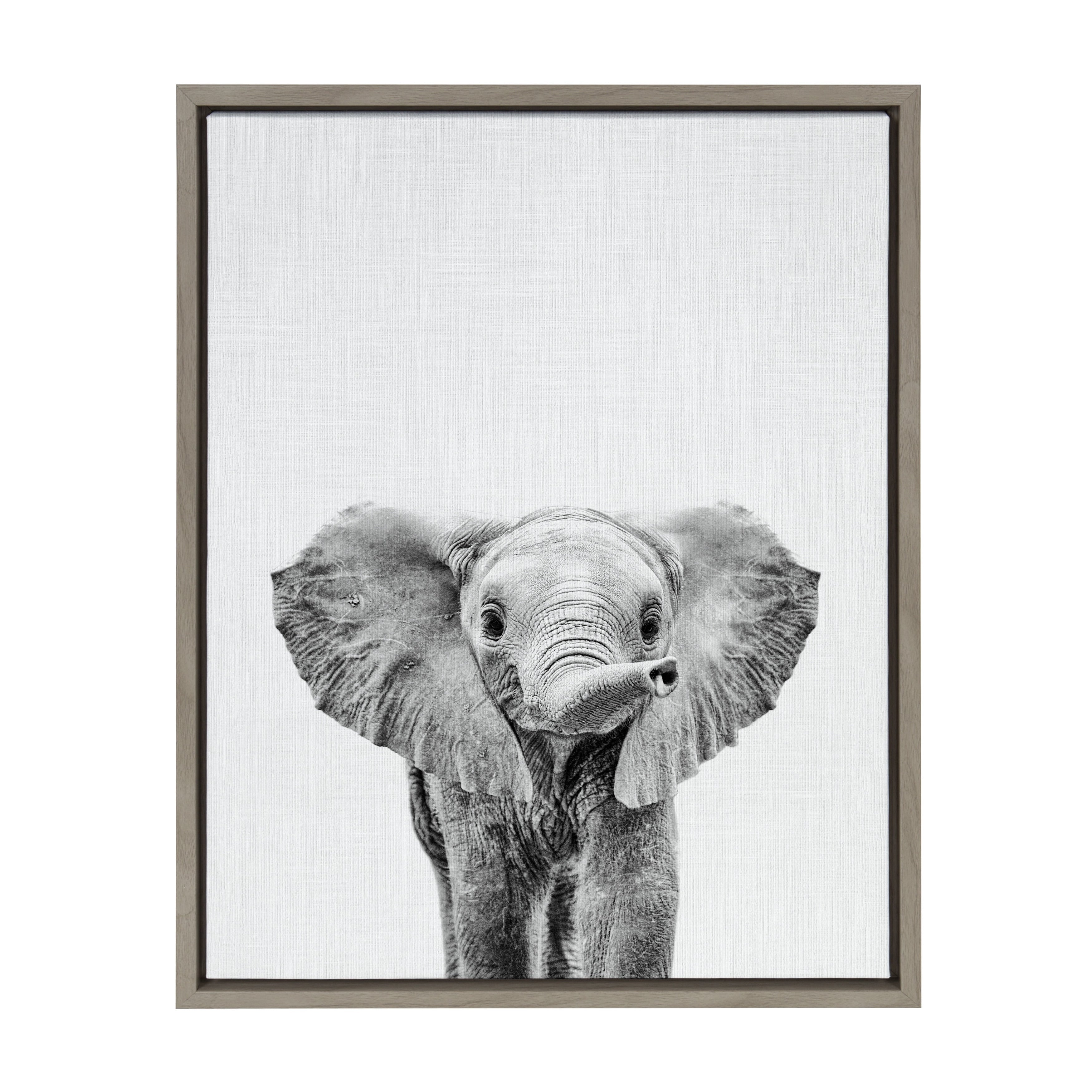 Porch Den Simon Te Tai Baby Elephant Framed Canvas By