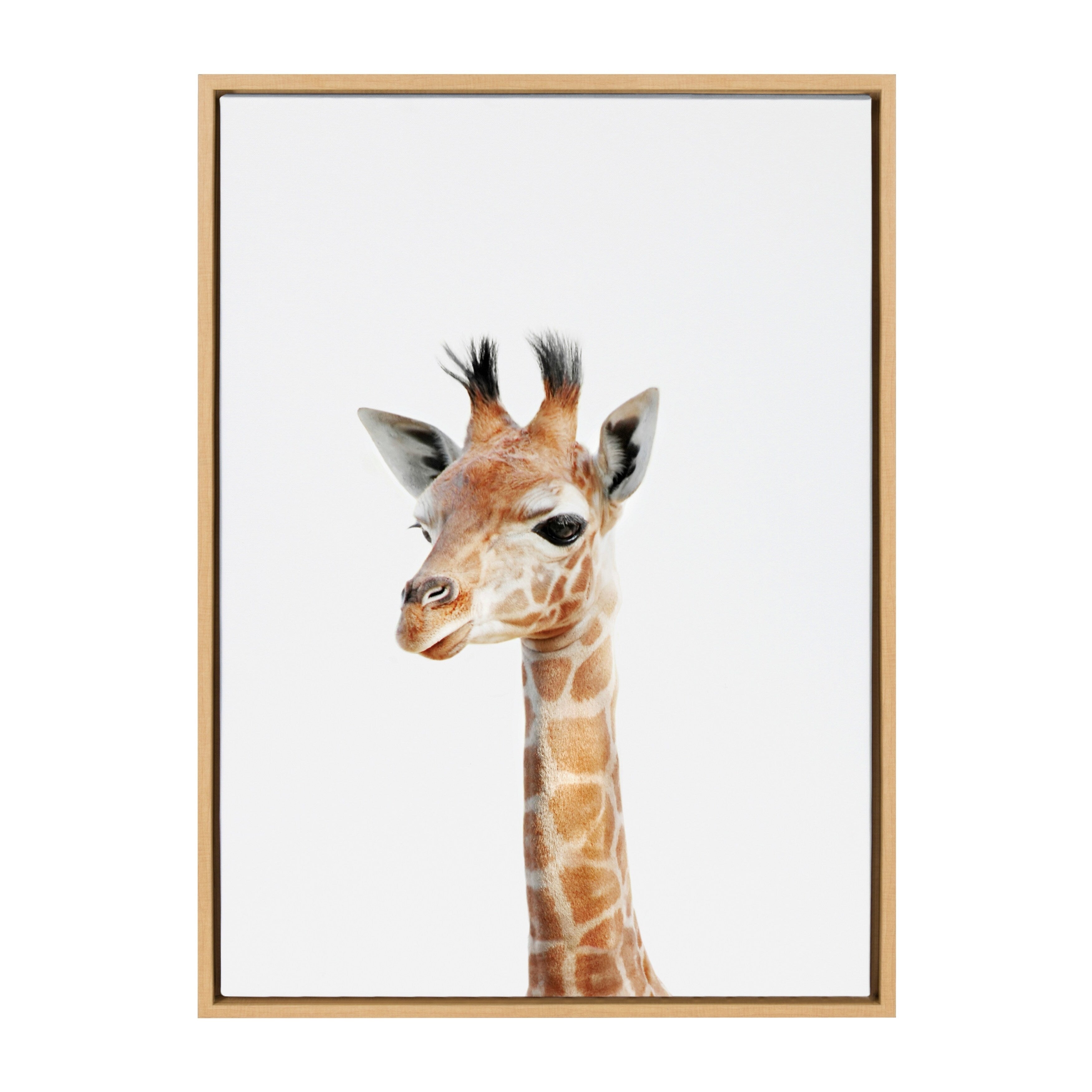 Sylvie Baby Giraffe Animal Print Framed Canvas Art By Amy Peterson