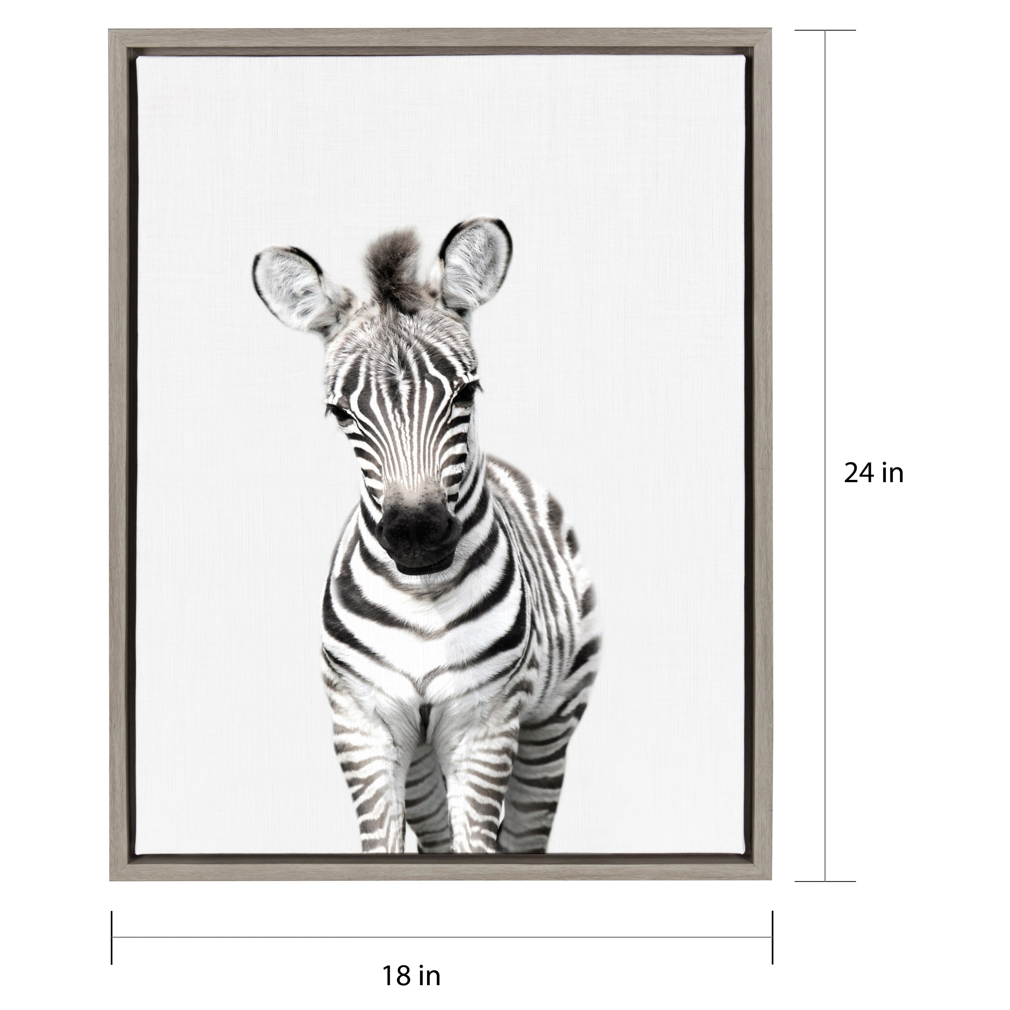 Sylvie Baby Zebra Animal Print Framed Canvas Wall Art By Amy Peterson