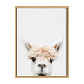 Sylvie Alpaca Bangs Animal Print Framed Canvas Art By Amy Peterson