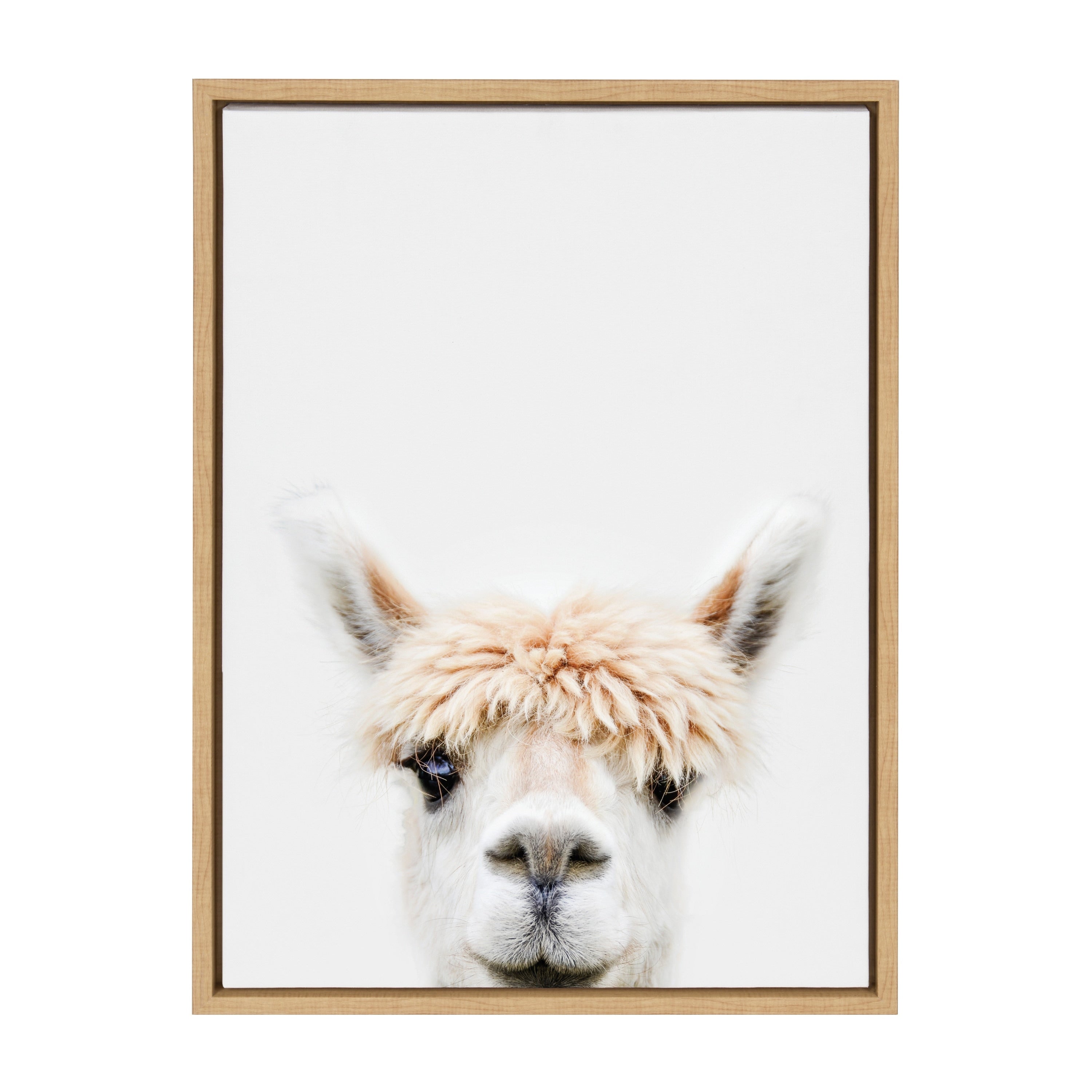 Sylvie Alpaca Bangs Animal Print Framed Canvas Art By Amy Peterson