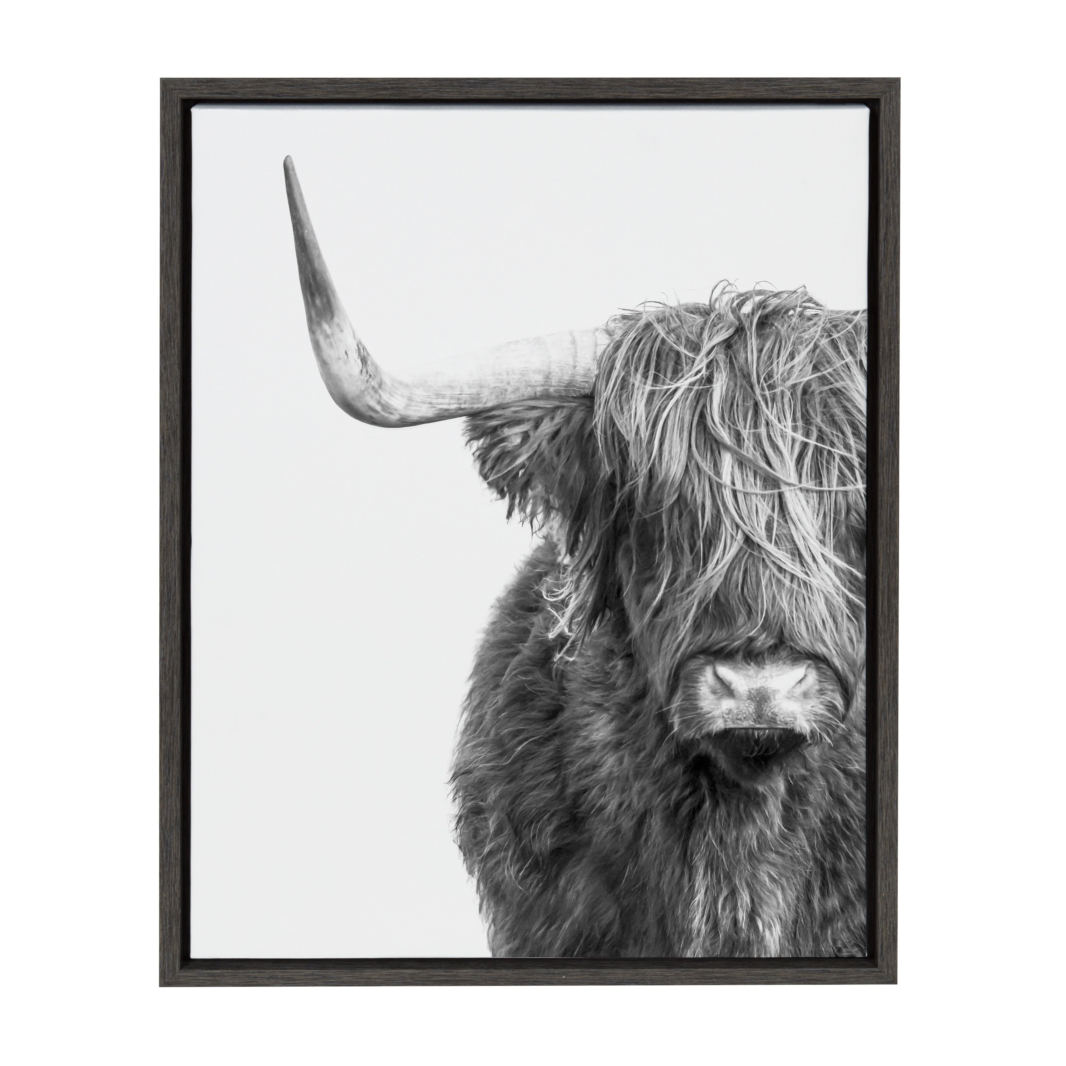 Kate And Laurel Sylvie Highland Cow Framed Canvas By Amy Peterson