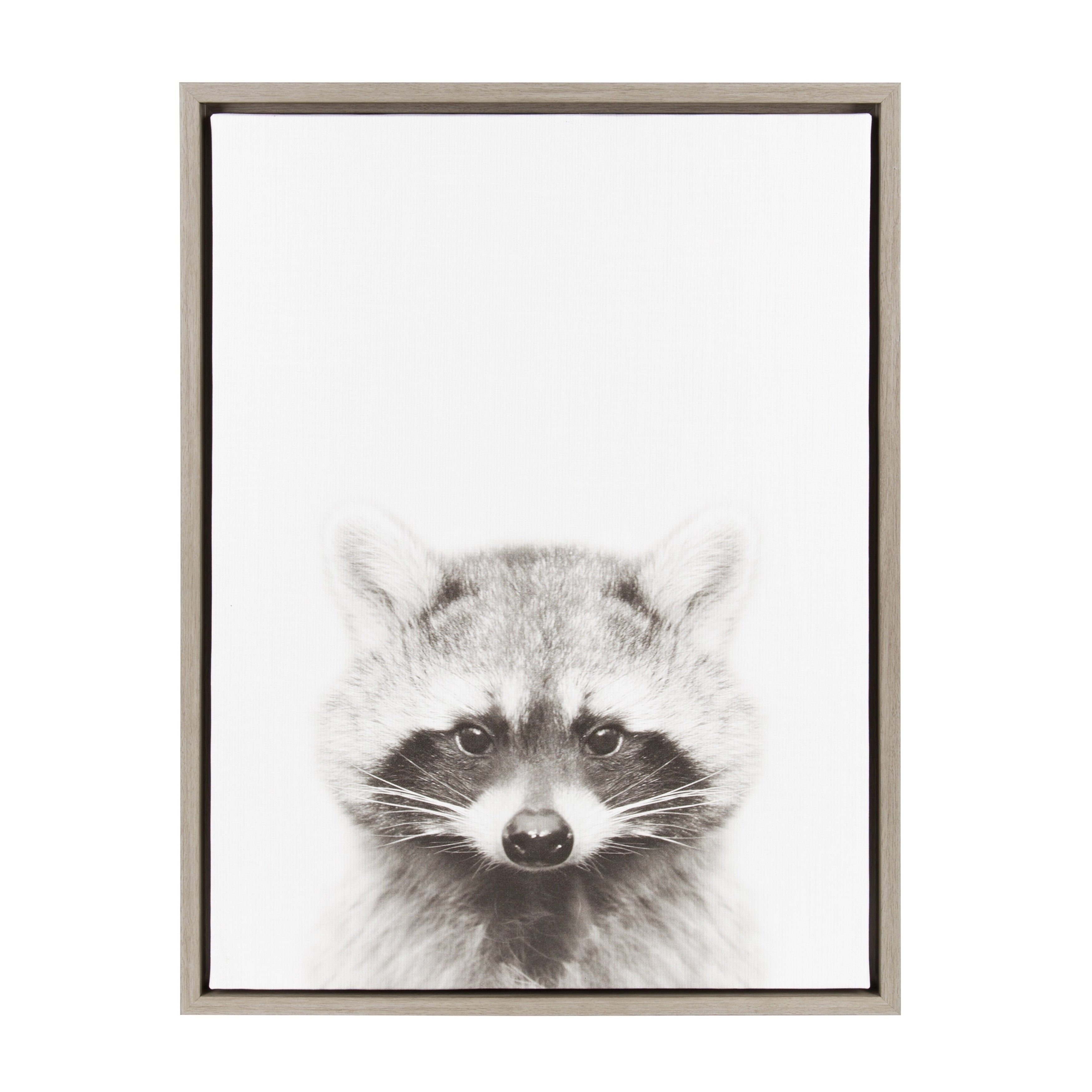 Designovation Sylvie Raccoon Black And White Portrait Grey Framed Canvas Wall Art By Simon Te Tai