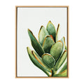Kate And Laurel Sylvie Succulent 18 Framed Canvas By Jennifer Redstreake Geary
