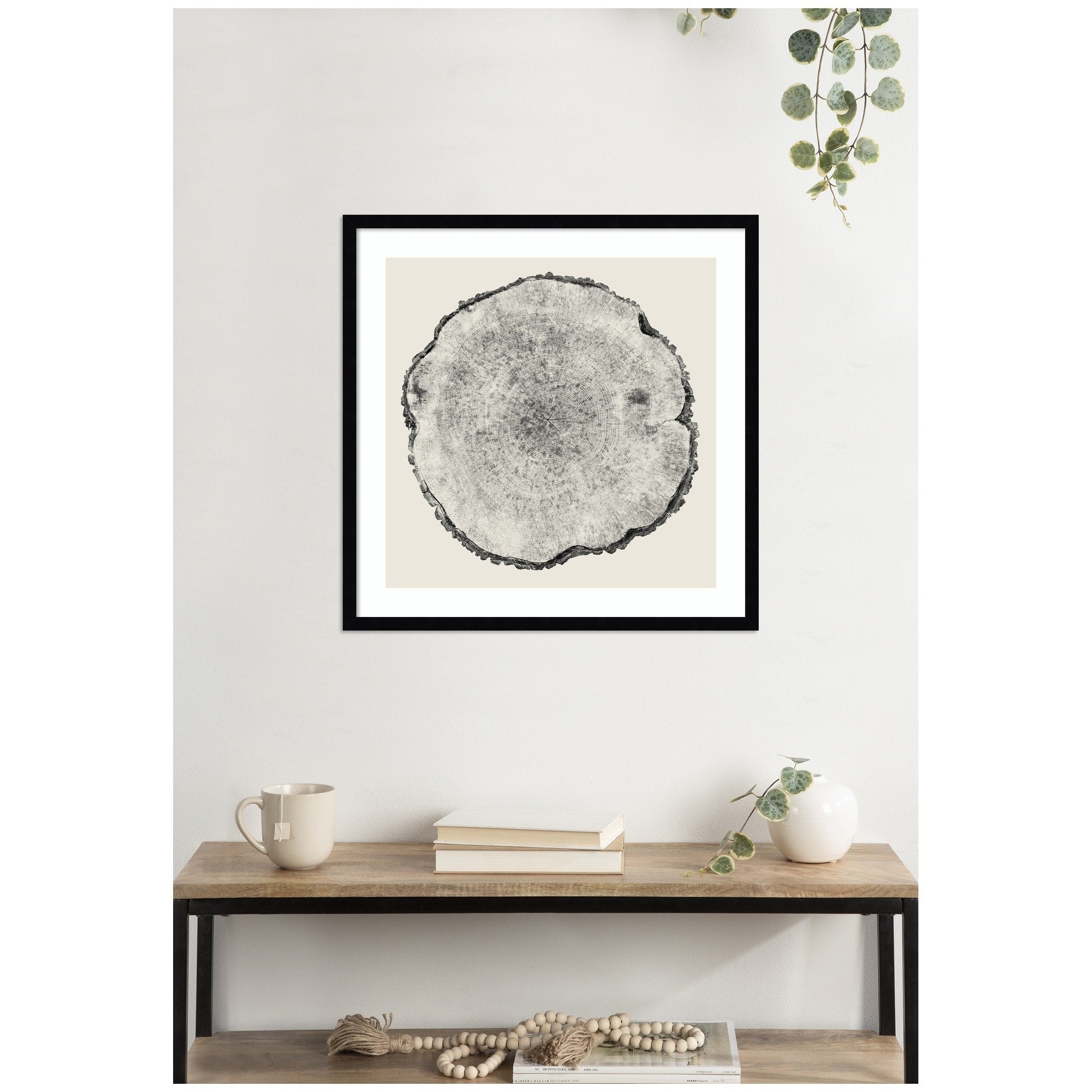 Kate And Laurel Tree Rings No. 1 By Emiko And Mark Franzen F2 Images Framed Wall Art Print