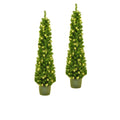 Kurt Adler 5 Foot Pre Lit Potted Tree Set Set Of 2
