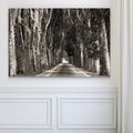 Stately Road