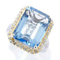 Pinctore Sterling Silver 11.70Ctw Aquamarine Color Quartz White Zircon Halo Ring