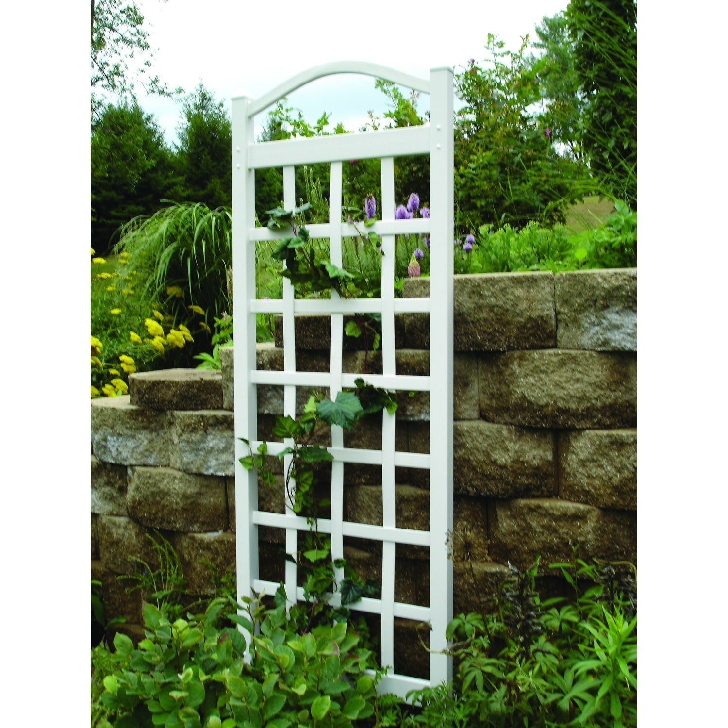 Cambridge Trellis