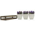 Summer Succulents In Wooden Tray Set Of 3 Pots Purple N A