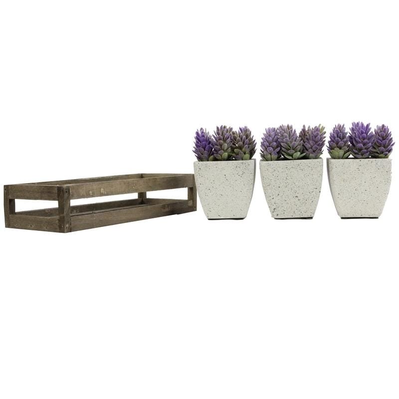Summer Succulents In Wooden Tray Set Of 3 Pots Purple N A