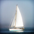 Canvas Sailboat Into The Mist By Jobe Waters