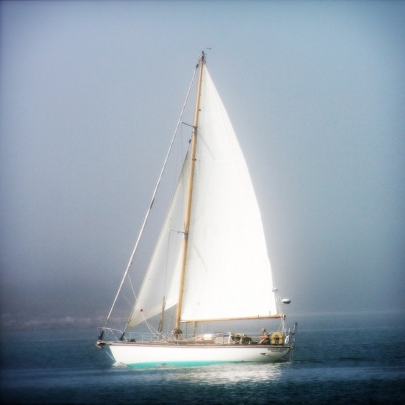 Canvas Sailboat Into The Mist By Jobe Waters