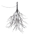Led Flocked Twig Branch 4H