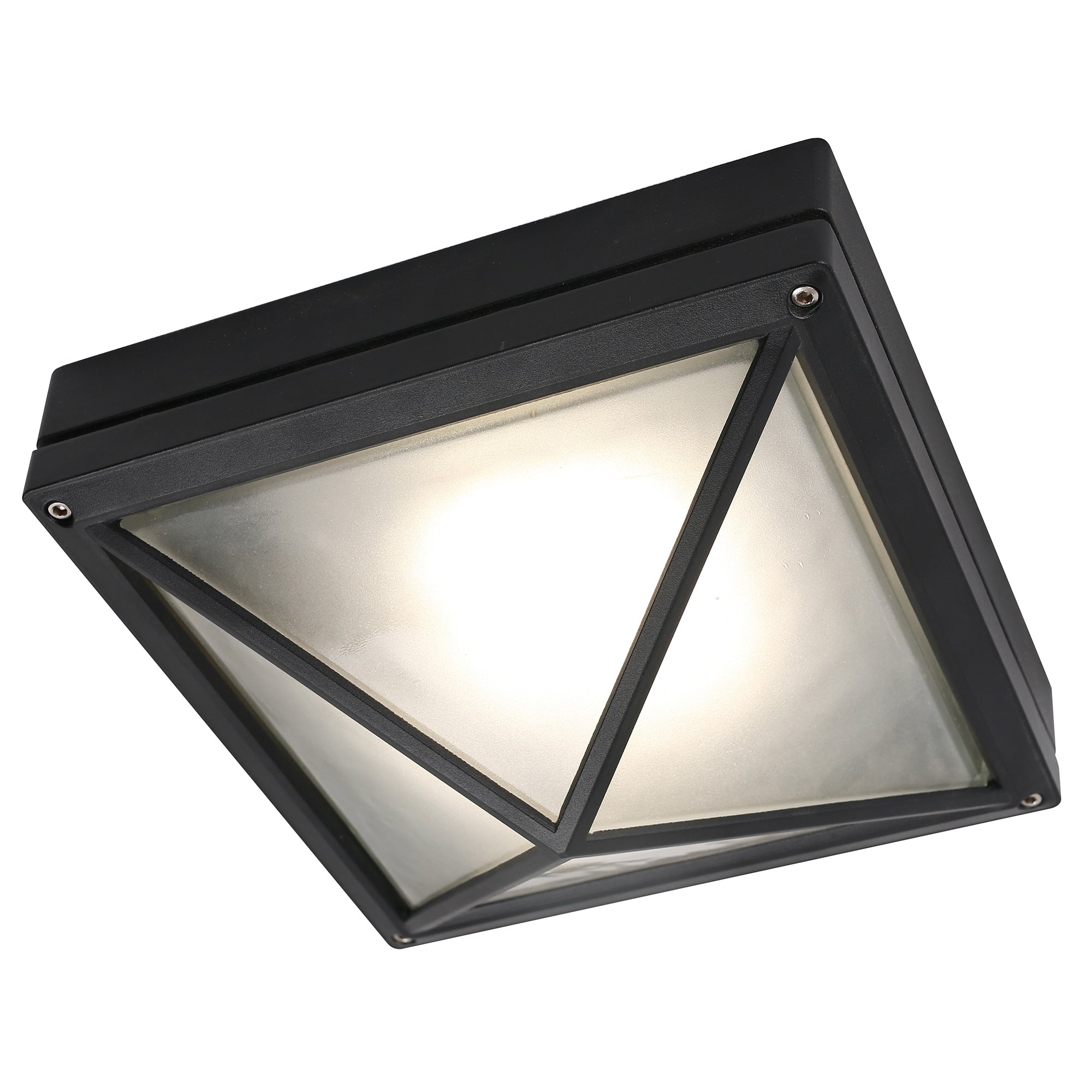 Led Flush Mount Ceiling Light In Black