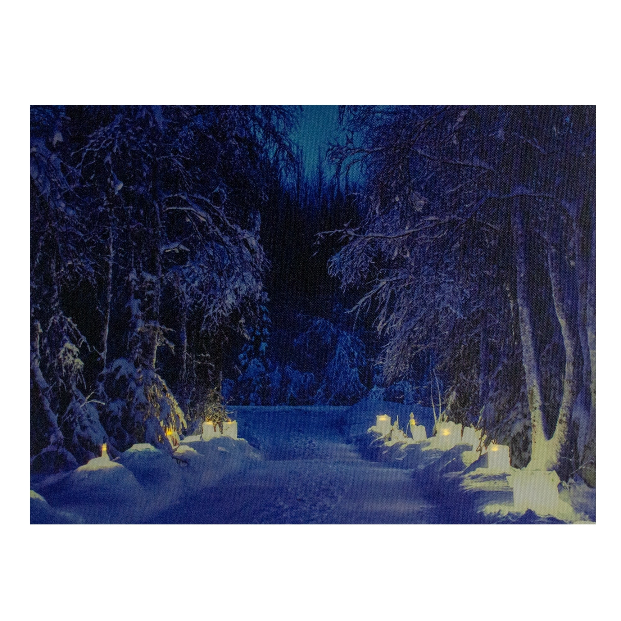 Led Lighted Nighttime In The Woods Winter Scene Canvas Wall Art 11.75 X 15.75 Blue