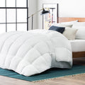 Lucid Down Alternative All Season Comforter