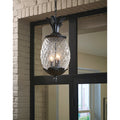 Acclaim Lighting Lanai Collection Hanging Lantern 3 Light Outdoor Matte Black Light Fixture