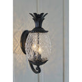 Acclaim Lanai Collection 3 Light Outdoor Matte Black Wall Lantern