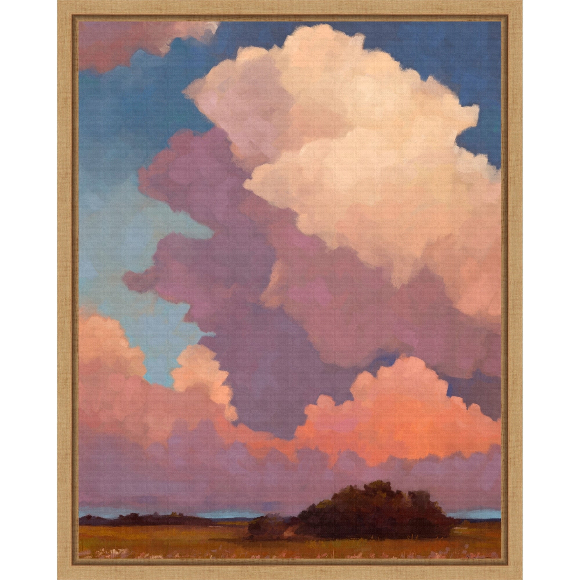 Landscape Light In The Clouds By Mary Sparrow Framed Canvas Wall Art Print