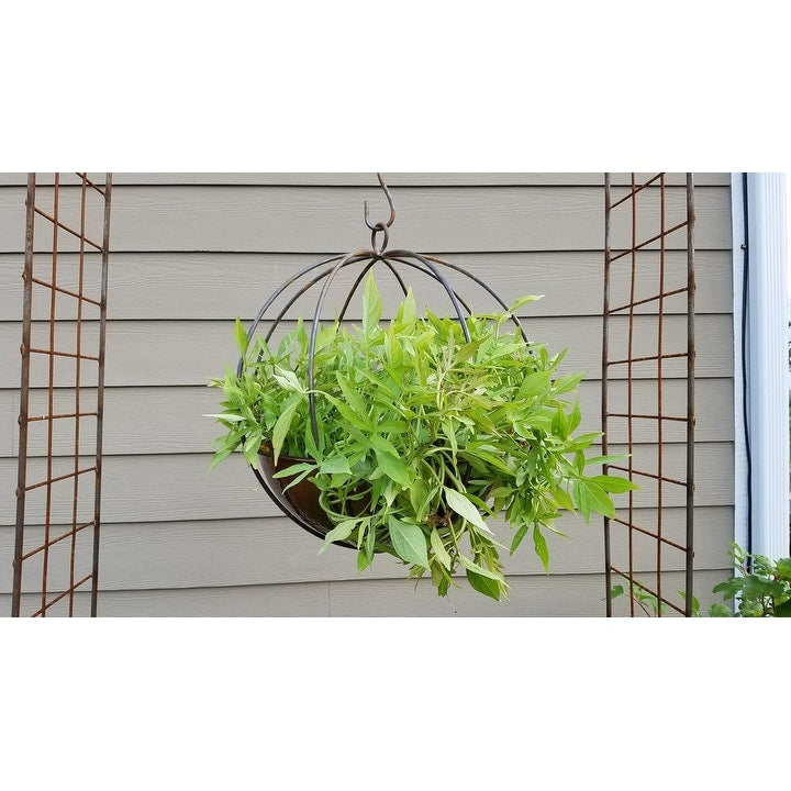 Large Hanging Globe Planter