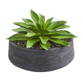 Nearly Natural Large Succulent Artificial Plant In Decorative Bowl