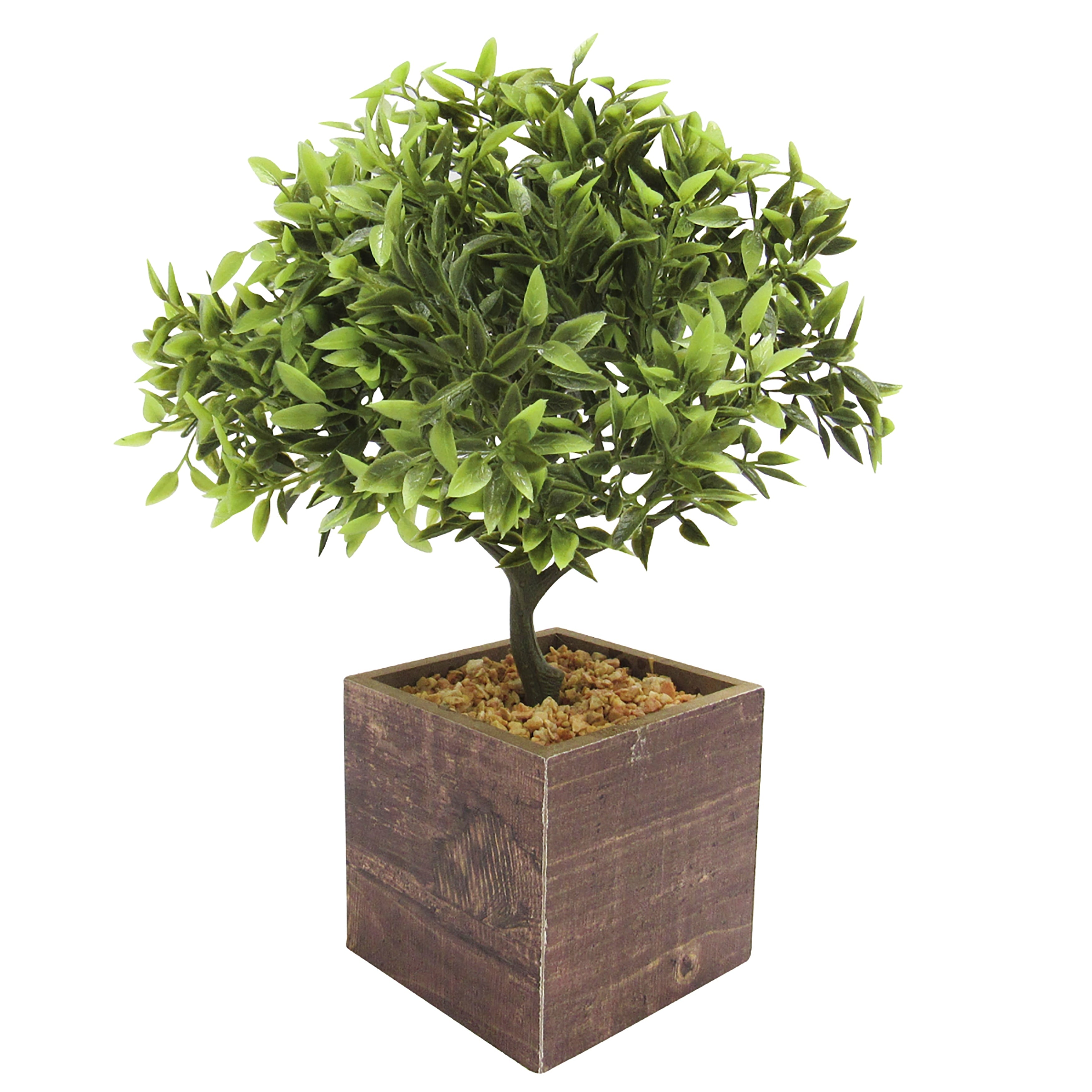Leaf Bonsai Tree In Square Wood Pot 11In 11 H X 7.5 W X 7.5 Dp