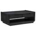 Leandro 2 Drawer Wood Cocktail Coffee Table Burnished Black