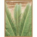 Leaves By Ohkimiko Framed Canvas Wall Art