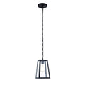 Light Society Serendipity Black Clear Glass Iron Metal Pendant Lamp