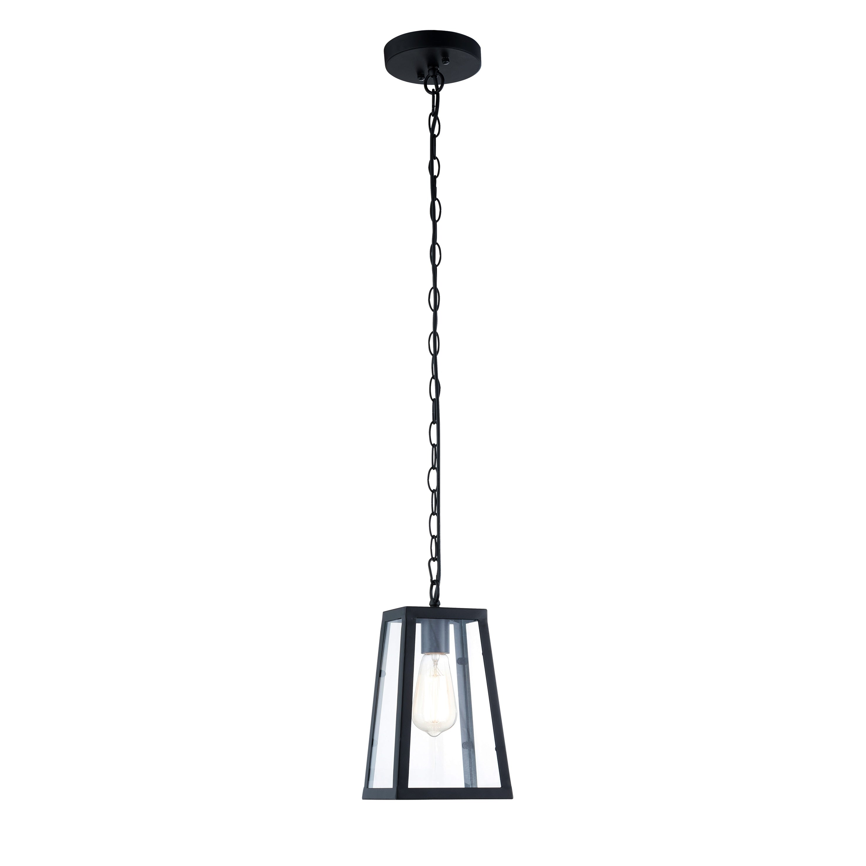Light Society Serendipity Black Clear Glass Iron Metal Pendant Lamp