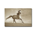 Like The Wind By Lisa Dearing Gallery Wrapped Canvas Giclee Art 24 In X 36 In Ready To Hang