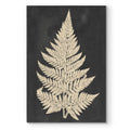 Linen Fern I Premium Gallery Wrapped Canvas Ready To Hang